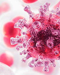 ¿Qué sabes sobre el cáncer?